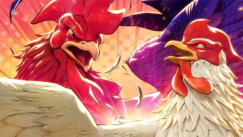 Diwin Game: Discover the Exciting World of Rooster Rumbl插图 Diwin Game:Rooster Rumbl